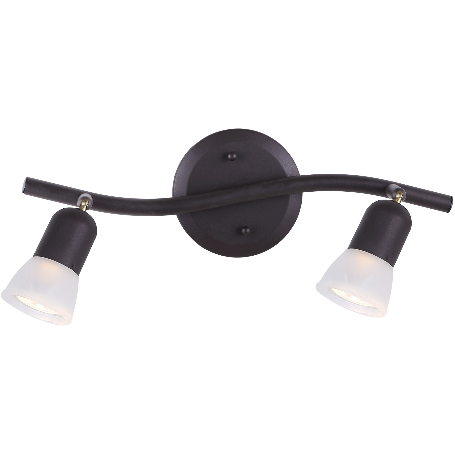 James 2 Light 120 Oil Rubbed Bronze Track Lighting Ceiling Light