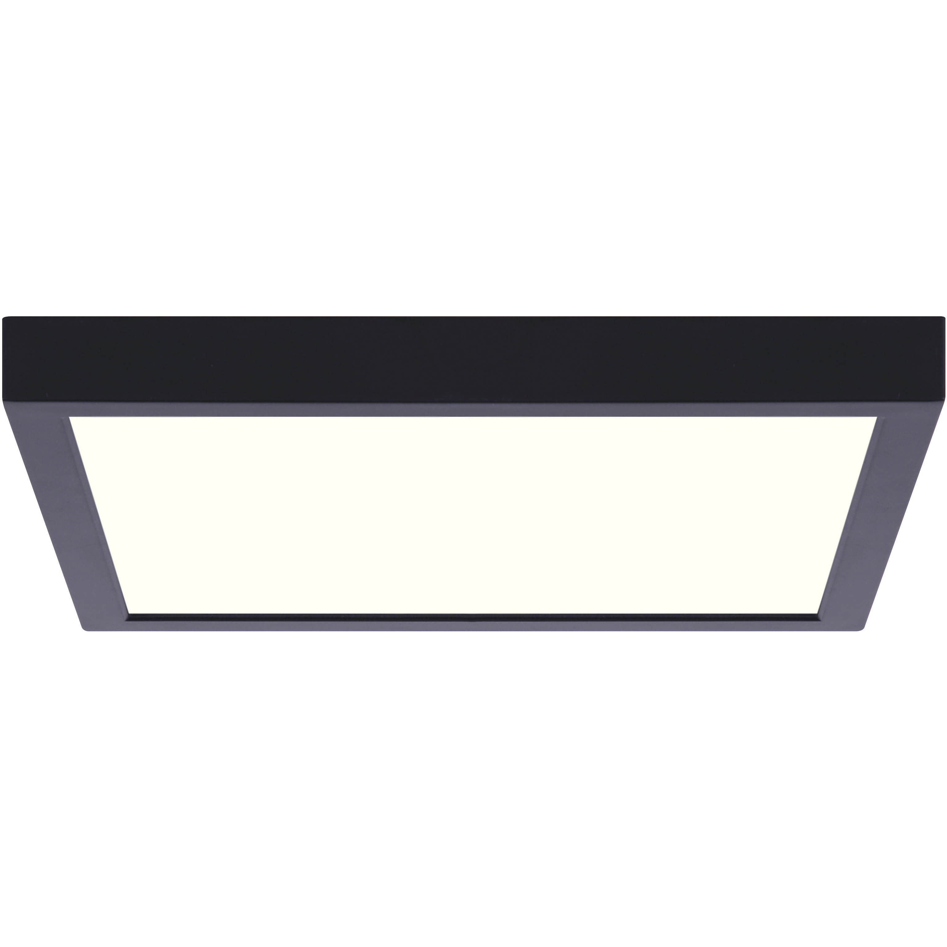Canarm LED 11 inch Black Disc Light